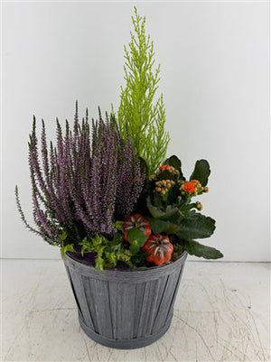 Mixed Colour Bamboo Arrangement