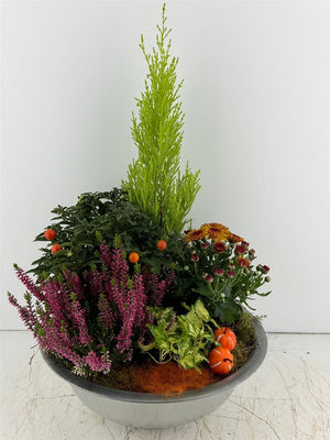 Mixed Colour Arrangement in XL Zinc Bowl