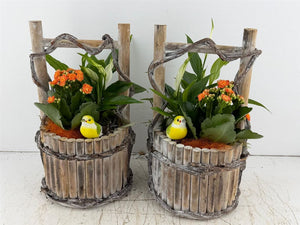 Mixed Colour Floral Arrangement