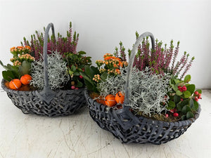 XXL Grey Harvest Basket Arrangement – Mixed Colours
