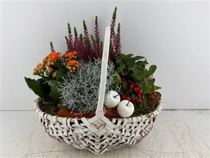 Extra-Large White Harvest Basket Arrangement