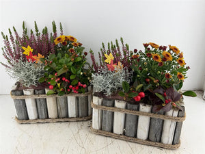 XXL Grey and White Wooden Plant Arrangement