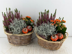 Mixed Oval Floral Arrangement