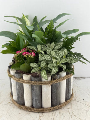 Mixed Colour Wooden Floral Arrangement