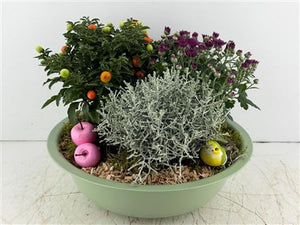 Mixed Plant Arrangement in Extra-Large Green Zinc Bowl