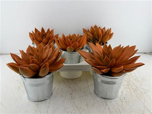 Mixed Colour Floral Arrangement in Zinc Bucket