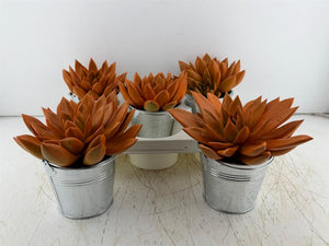 Mixed Colour Floral Arrangement in Zinc Bucket