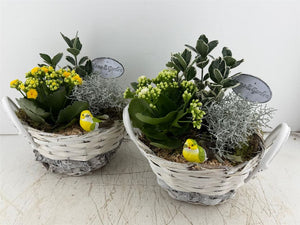 Mixed Colour Floral Arrangement
