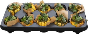 Mixed Succulent Arrangement in Ceramic Pumpkin – 8cm Pot