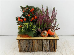 Mixed Colour Decorative Bark Arrangement