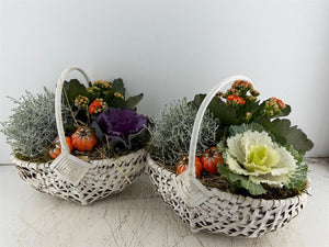 White Harvest Basket Mixed Flower Arrangement