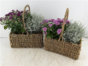 Mixed Colour Dried Grass Hanging Basket Arrangement