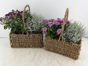Mixed Colour Dried Grass Hanging Basket Arrangement