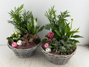 Mixed Colour Round Arrangement