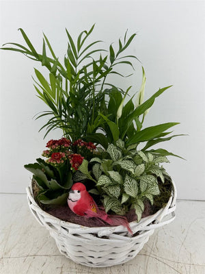 Mixed Colour Floral Arrangement – 3 Stems