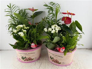 Mixed Colour Floral Arrangement