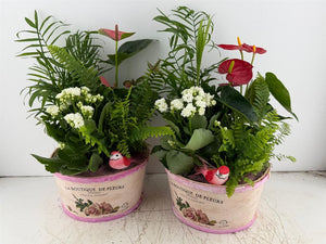 Mixed Colour Floral Arrangement