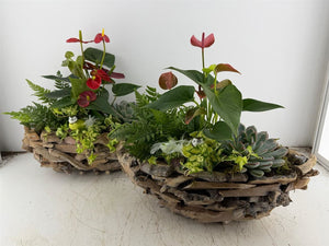 XXL Mixed-Colour Driftwood Arrangement