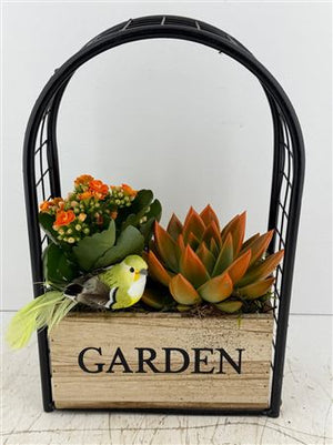 Mixed-Colour Iron Frame Garden Arrangement