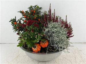 Mixed Colour Arrangement in Extra-Large Zinc Bowl