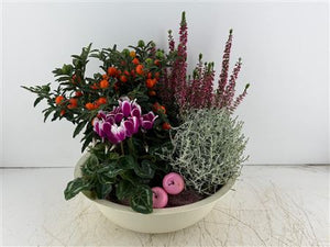 Mixed Colour Arrangement in Extra-Large Cream Zigzag Bowl