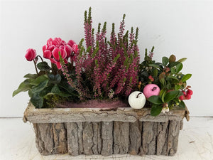 Mixed Natural Bark Arrangement
