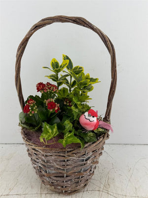 Mixed-Colour Hanging Basket Arrangement