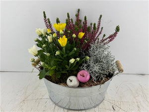 Mixed Colour Round Zinc Plant Arrangement
