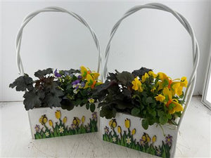 Mixed Colour Hanging Basket Arrangement