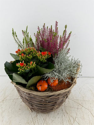 Mixed Colour Floral Arrangement