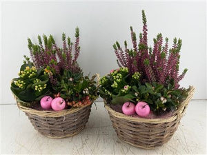 Mixed Colour Floral Arrangement – 4 Stems