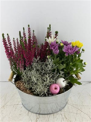Mixed Colour Floral Arrangement – Zinc Pot