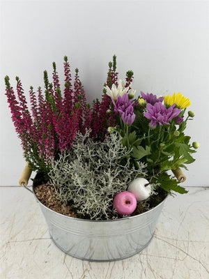 Mixed Colour Floral Arrangement – Zinc Pot