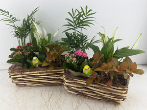 Two-Tone Mixed Colour Floral Arrangement