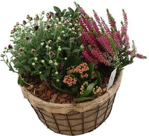 Garden Arrangement in Jute Basket – 25cm