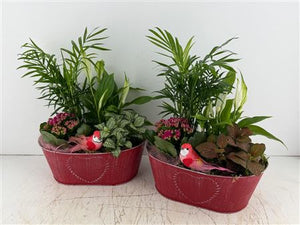 Mixed Floral Arrangement in Oval Zinc Planter