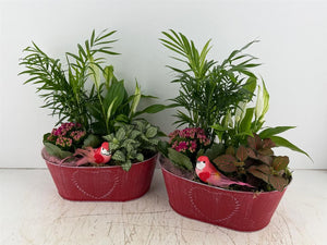 Mixed Floral Arrangement in Oval Zinc Planter