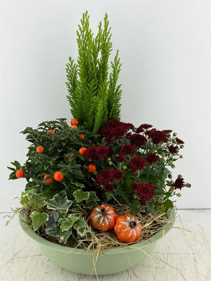 Green Zinc Bowl Mixed Plant Arrangement