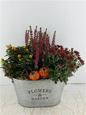 Mixed Flower Arrangement in Oval Zinc Pot