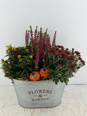 Mixed Flower Arrangement in Oval Zinc Pot