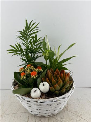 Mixed Colour Floral Arrangement – 3-Stem Bunch