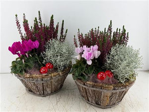 Mixed Natural Bark Arrangement