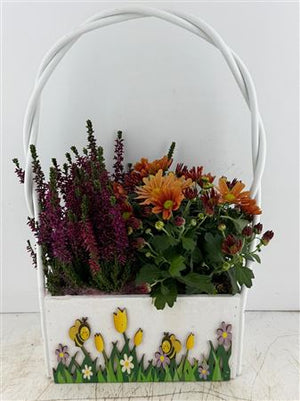 Mixed Colour Hanging Basket Arrangement