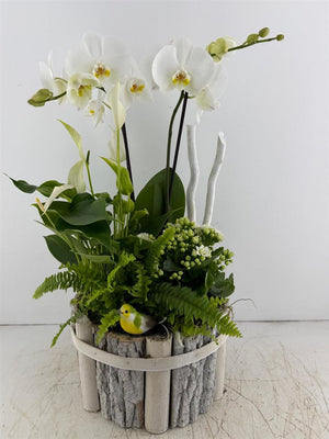 Round Beechwood Arrangement – Mixed Colour
