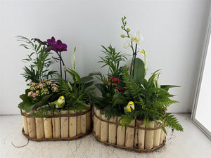 Oval Mixed-Colour Floral Arrangement