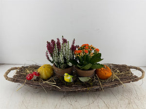 Mixed Colour Plant Arrangement with 2 Pots