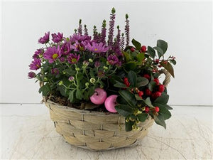 Mixed Colour Oval Arrangement