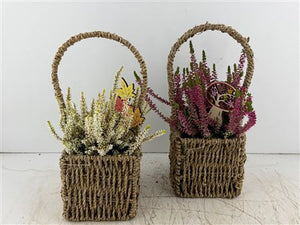 Mixed Colour Seagrass Hanging Basket Arrangement