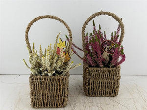 Mixed Colour Seagrass Hanging Basket Arrangement