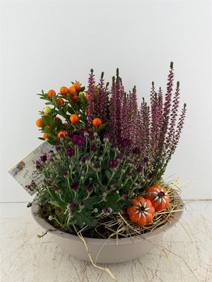 Taupe XL Decorative Plant Arrangement